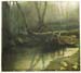 Fallen Tree (watercolour)