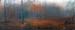 Untitled Diptych